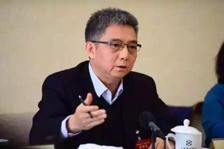 贺禹：发展核电是中国节能减排必由之路 借“一带一路”东风冲出国门