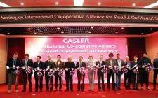 国际小型铅基堆联盟成立大会暨第一届理事会在中国合肥召开