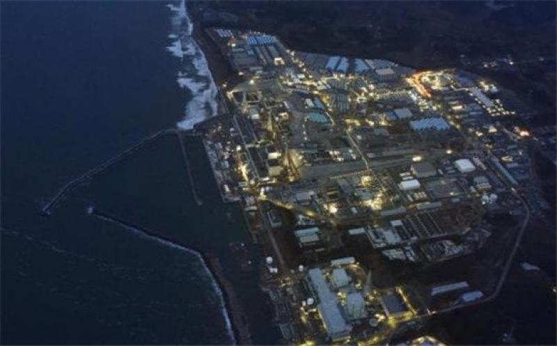 时隔两年 日本福岛附近再次近海捕捞的鱼放射性物质超标