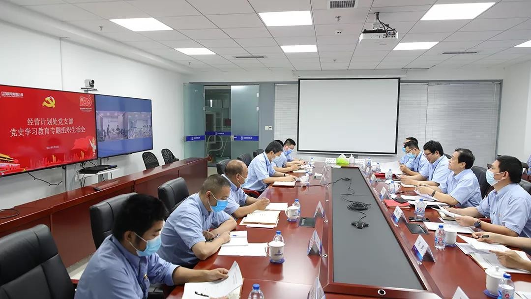 中国核电第四巡回指导组指导江苏核电基层党支部党史学习教育专题组织生活会