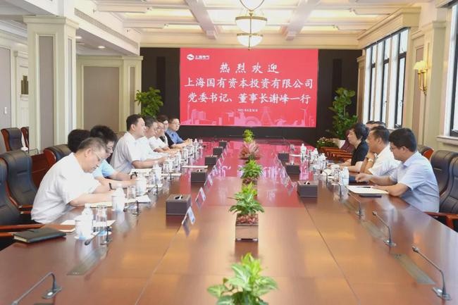 上海电气与上海国投共商协同发展