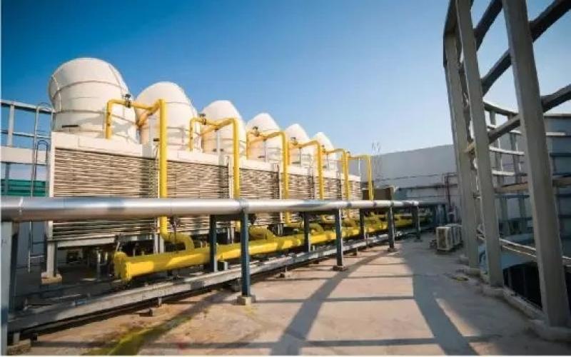 《国家电投佳木斯核能供热示范项目可行性研究阶段厂址陆生生态专题调查报告》通过评审