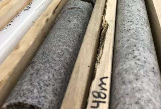 加拿大深层地质处置库选址工作取得进展