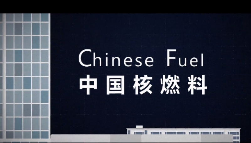 科普 | 一分钟了解CF燃料组件