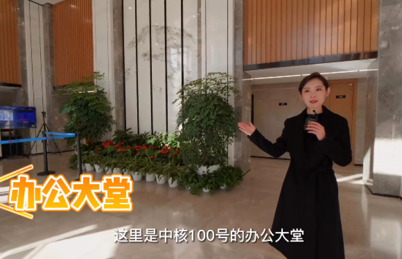 上新了，中核100号！