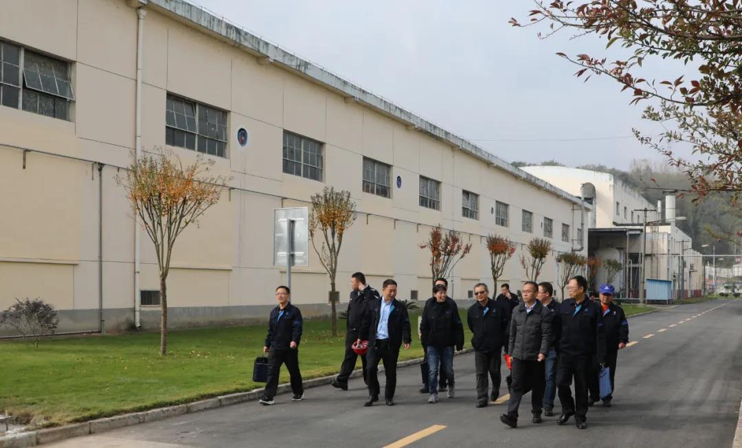国际原子能机构到公司开展国际核保障监督视察