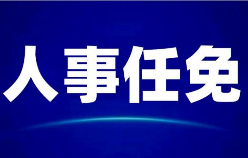 陈海斌同志任国家电投副总经理、党组成员
