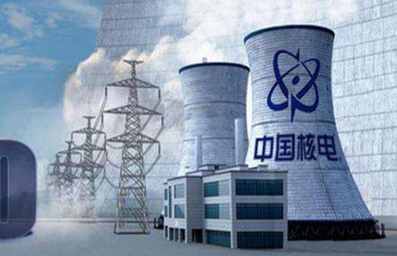 中国核电:公司研发投入均为公司自有资金,没有银行贷款