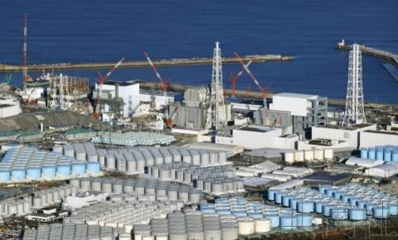 日媒:东电试用福岛核污水养鱼