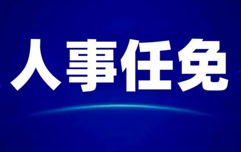 中国华电领导层调整！
