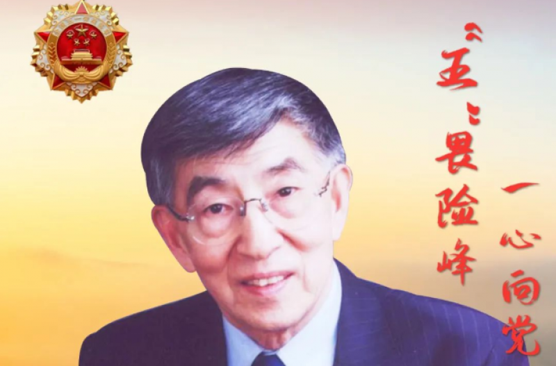王大中：“跳起来”，在“无人区”摘下硕果
