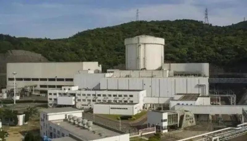 支撑大型核电基地专业化改革的新型能力建设