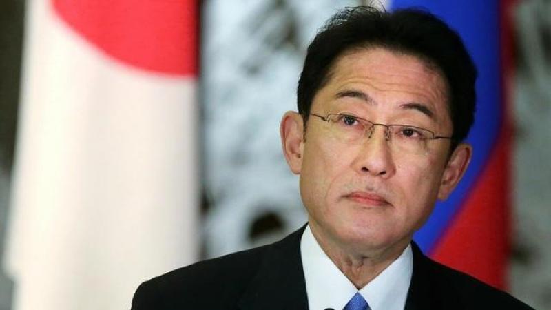 日本首相岸田文雄与国际原子能机构总干事举行会谈