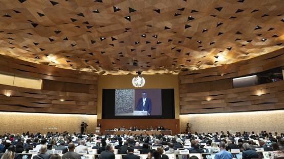 第75届世界卫生大会:国际原子能机构强调核技术促进健康