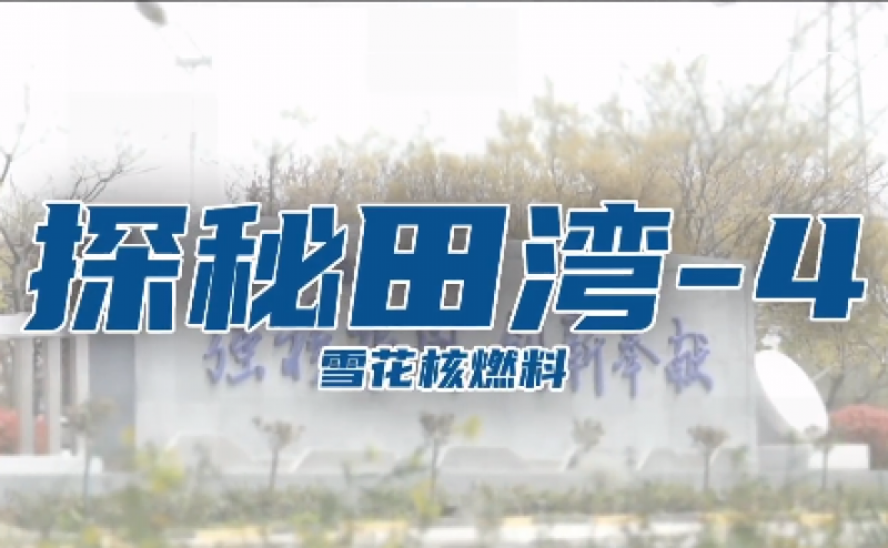 “核”你一起探秘“雪花核燃料”