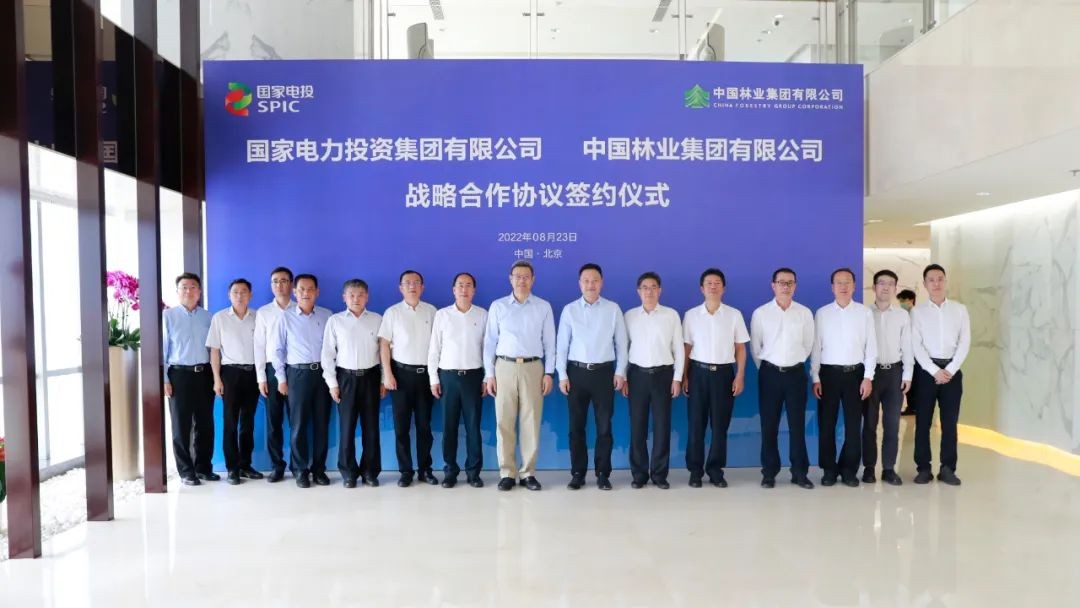 国家电投与中林集团签署战略合作协议