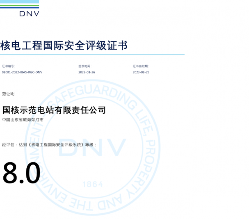 国际安全评级8.0