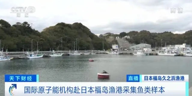 国际原子能机构赴日本福岛!