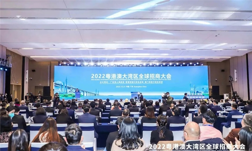 高立刚参加粤港澳大湾区全球招商大会