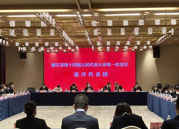 浙江人大代表谈清洁能源建设 走高质量发展硬“核”路