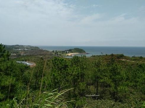 广西白龙核电项目建设进展情况