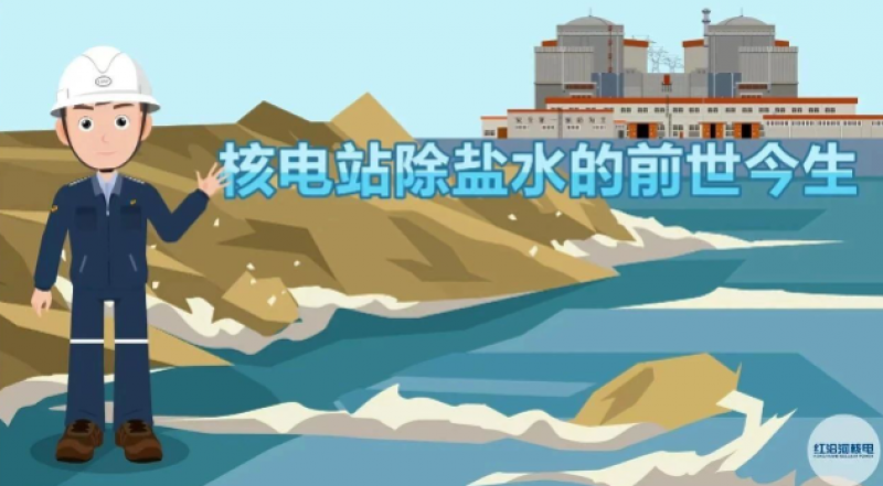 除盐水|核反应堆的“血液”