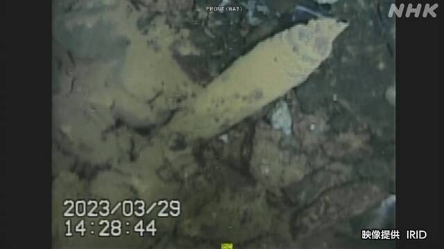 日本福岛核电站一机组压力容器底座受损严重