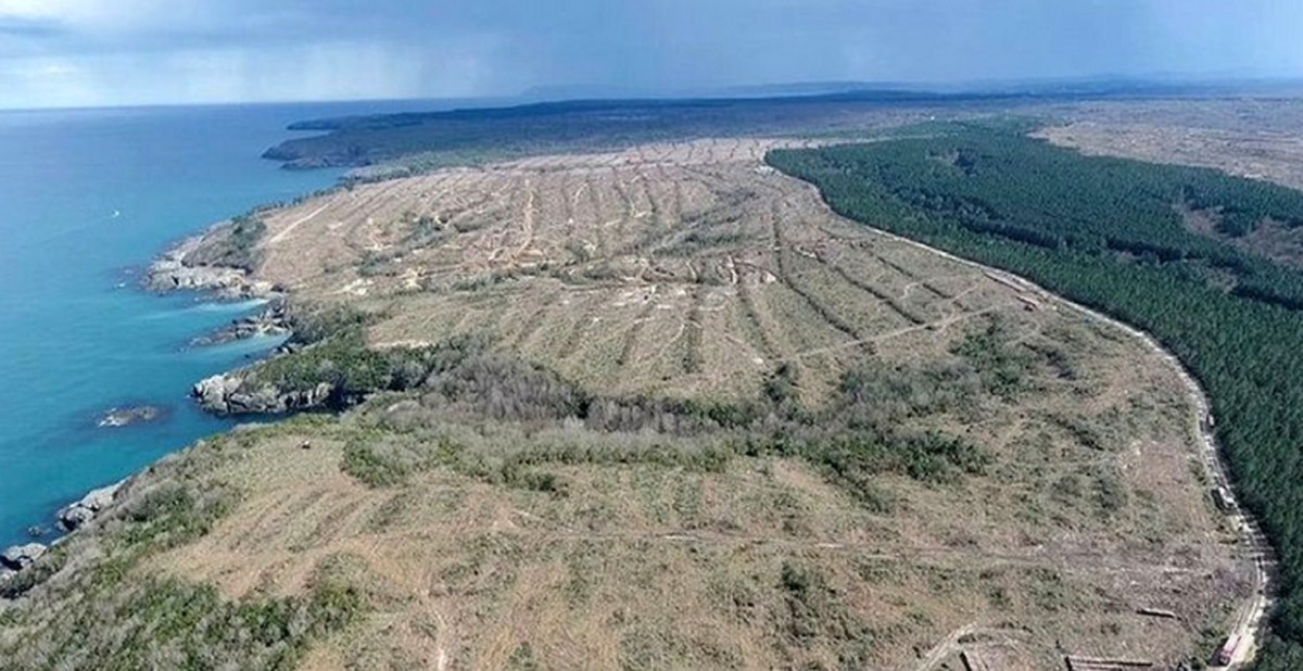 土耳其计划在年底前完成第二座核电厂建设的谈判