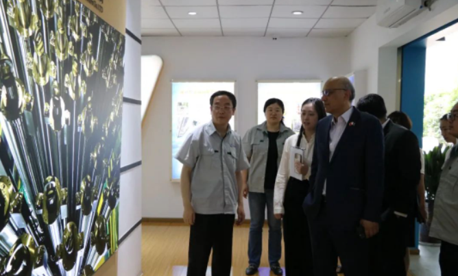 巴基斯坦驻华大使莫因·哈克一行视察华都公司