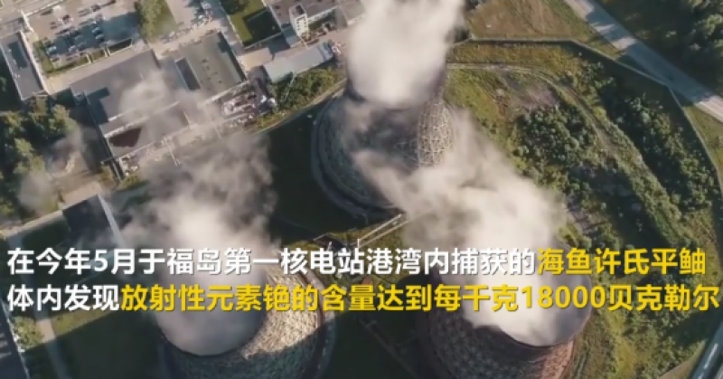 福岛第一核电站港湾鱼体内放射性物质超标180倍