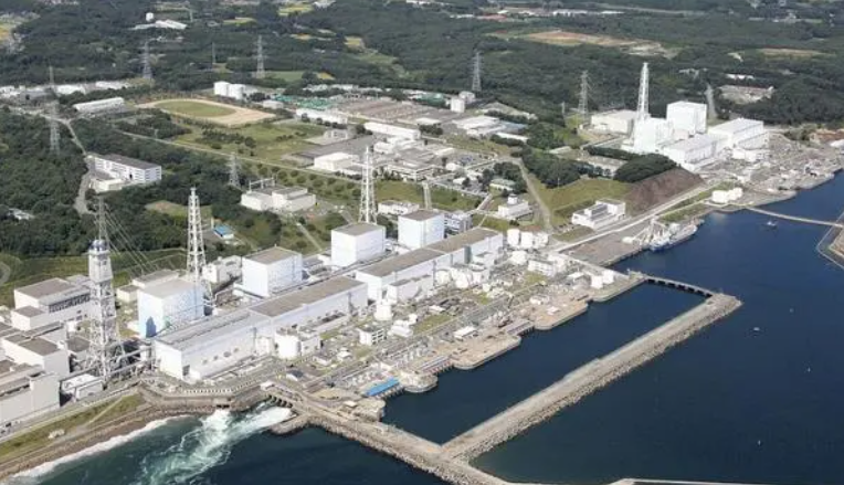 媒体:IAEA总干事称专家对日本核水排海报告没有分歧