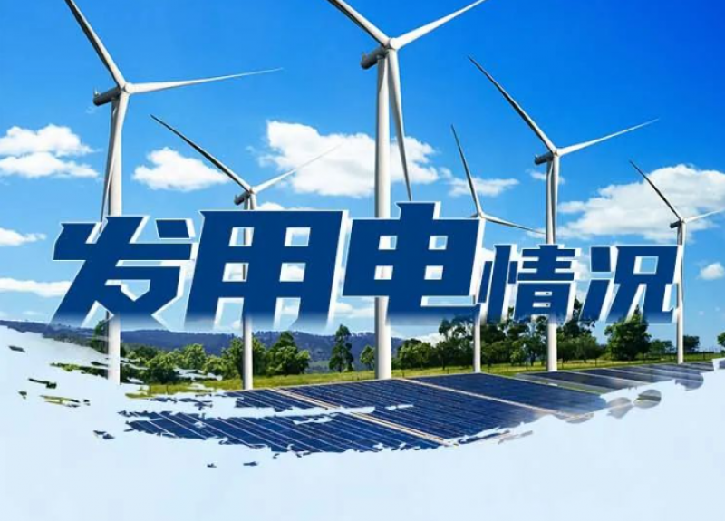 2023年上半年发用电情况