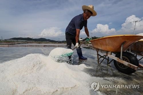 因福岛问题韩国开始对盐田进行密集辐射测试