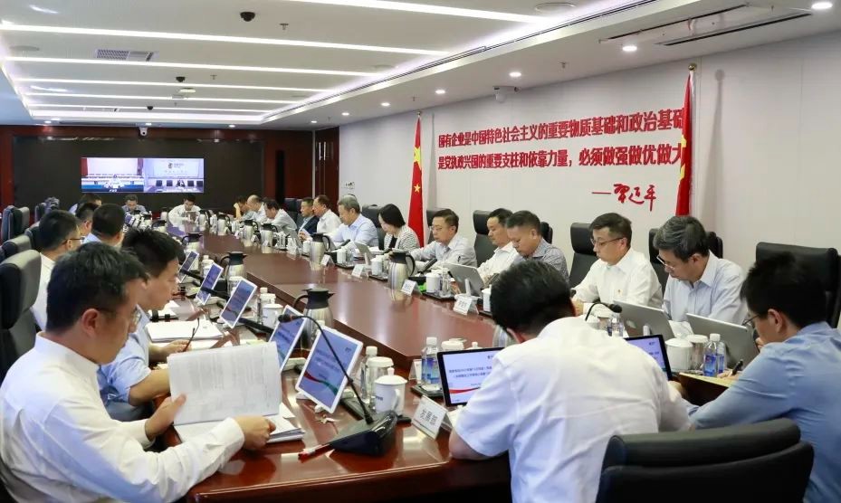 国家电投党组专题研究中央巡视反馈问题整改工作