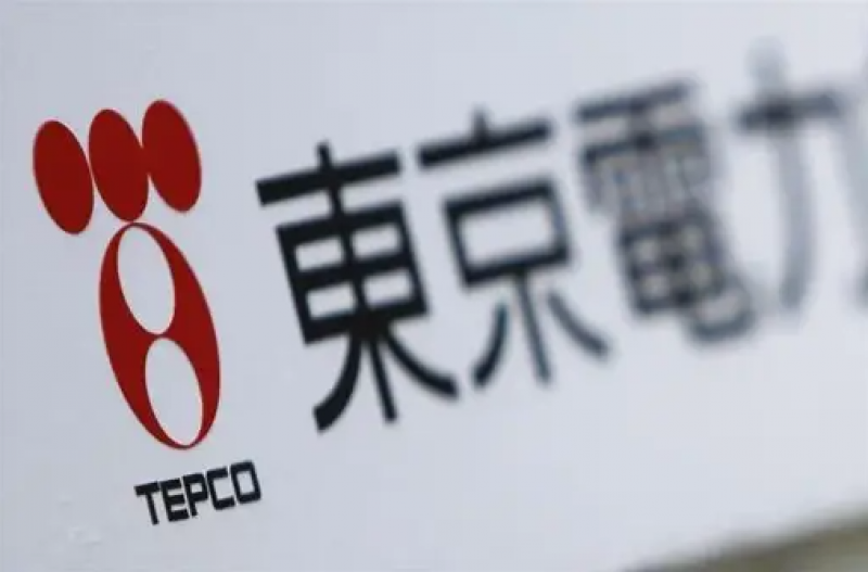 TEPCO и Японская атомная энергетическая компания пригласили восемь энергокомпаний к участию в транспортировке отработавшего ядерного топлива