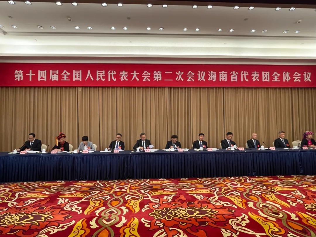海南省代表团谈能源发展成果及未来规划