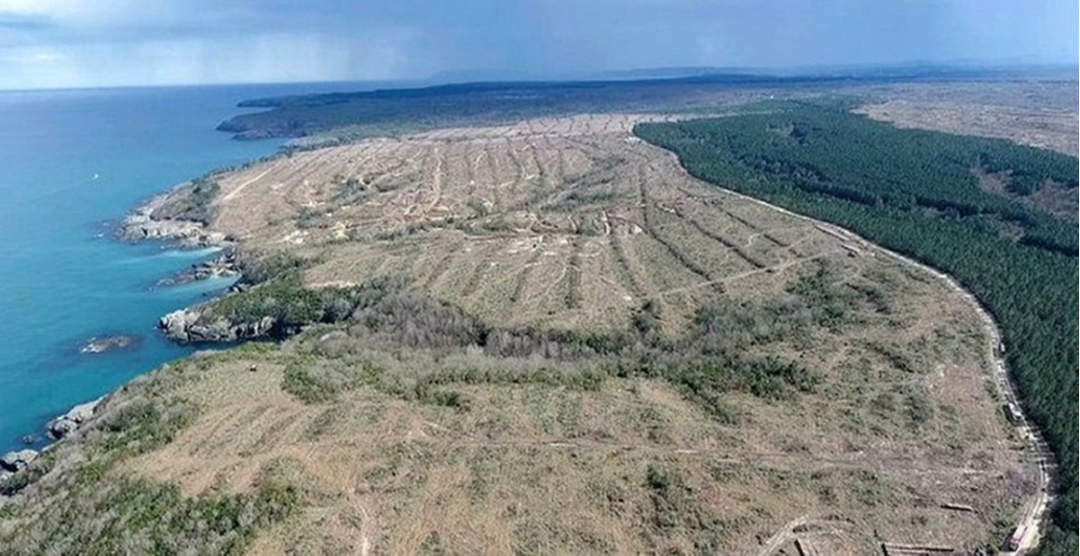 俄原集团表示土耳其已决定选用俄技术建设第二座核电厂