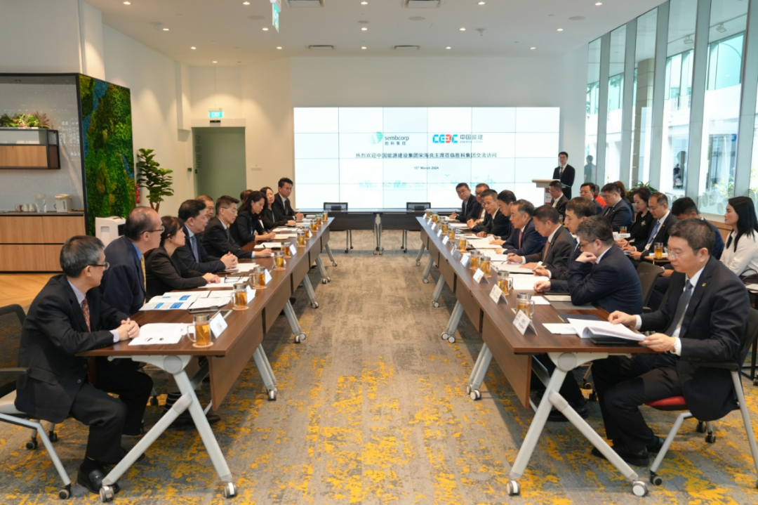 宋海良与新加坡胜科集团总裁黄锦贤、新加坡树人咨询公司主席廖文良会谈并见证项目签约