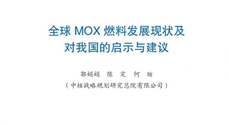全球 MOX 燃料发展现状及对我国的启示与建议