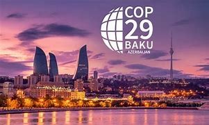 COP29气候大会成果与核能角色及COP30展望