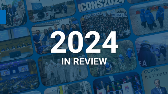 国际原子能机构2024年回顾