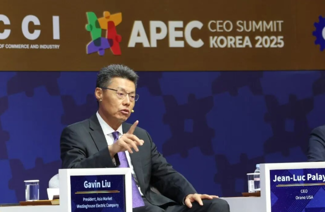西屋电气亚洲总裁出席2025APEC工商领导人峰会,探讨AI赋能核能发展