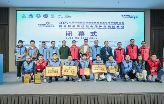 首届核能继电保护国际技能大赛落幕,阳江核电获多个奖项