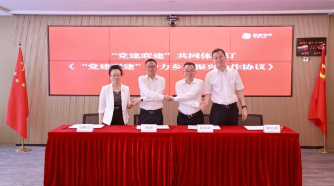 国家电投集团将组织优势化为助力乡村振兴“红色动能”