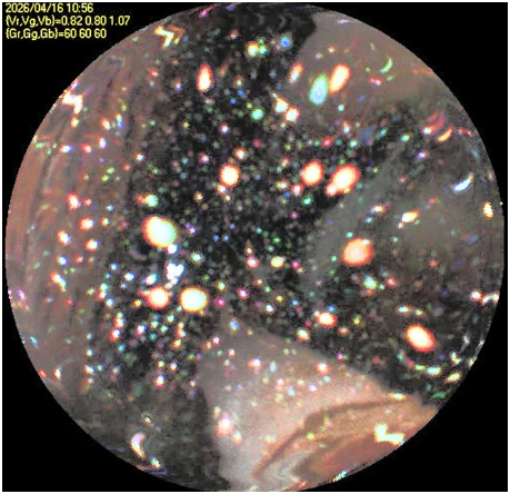 福岛第一核电站2号反应堆探测:压力容器内壁无重大损坏且存大量燃料