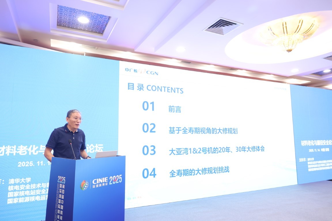 基于全寿期视角的大修规划——中广核核电运营有限公司王东