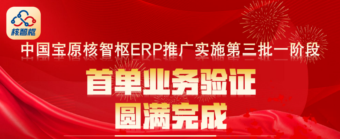 中国宝原核智枢ERP第三批实施单位提前7天上线成功