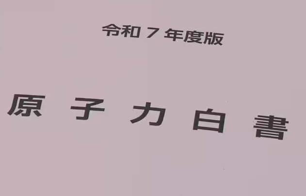 日本发布2025年核电白皮书，核燃料循环建设仍处初期
