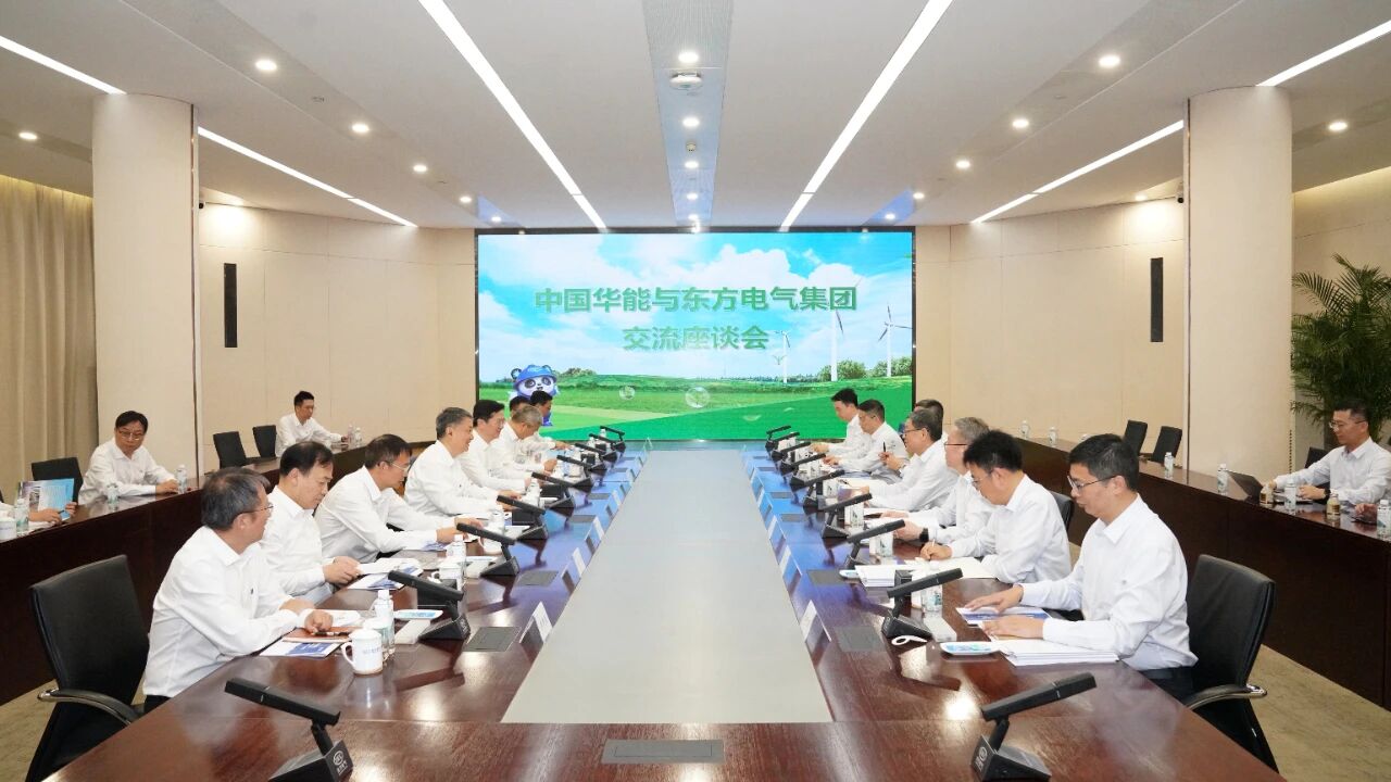 中国华能集团有限公司董事长、党组书记温枢刚与东方电气董事长罗乾宜会谈