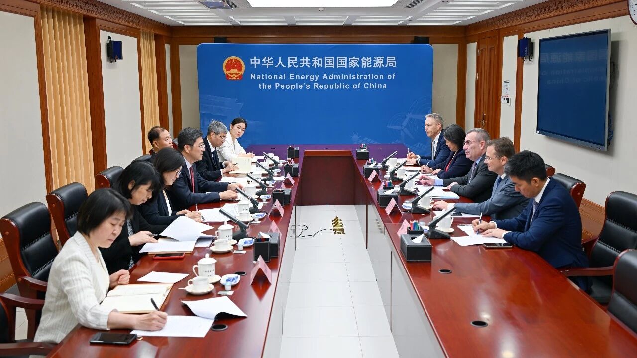 国家能源局负责人会见法国电力集团执行董事